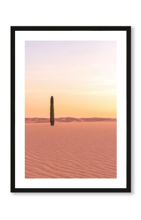 Gentle Desert Dunes at Sunset with a Single Cactus