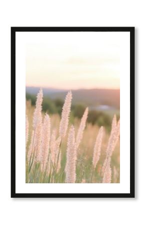 Soft Pink Sunset Over Field of Wild Grass and Flowers