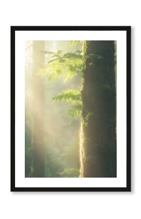 Sunlit Mossy Tree Trunk Detail in a Forest