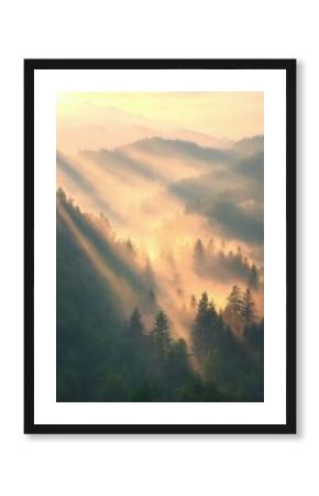 Sunlit Pine Trees in Misty Mountain Valley