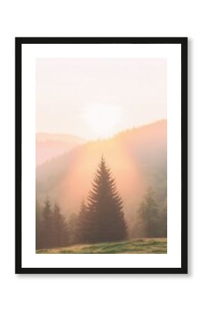 Sunrise Over Foggy Mountains with a Single Pine Tree
