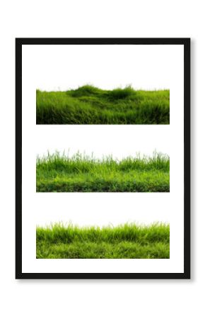 Collection of green grass field with copy space isolated on white or transparent background