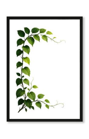 Lush Greenery Cascading Vines Against a Stark Black Canvas A Botanical Symphony of Verdant Leaves and Delicate Tendrils Creating a Frame of Natural Beauty