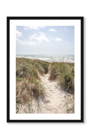 Weg durch die Dünen zum Ostseestrand - Insel Hiddensee - Hochformat