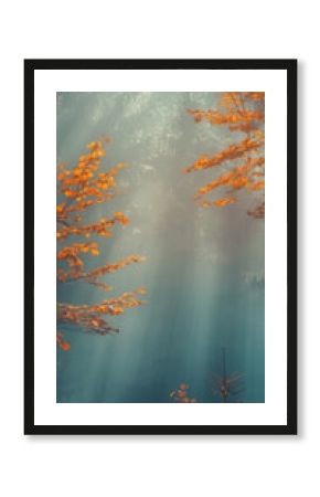 autumn in the forest