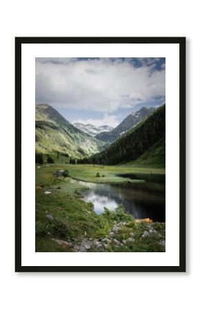 Peaceful Pasture with Grazing Cows at Riesachsee Lake