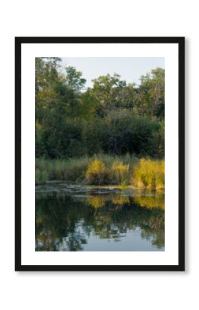 Peaceful Woodland Creek with Autumn Colors