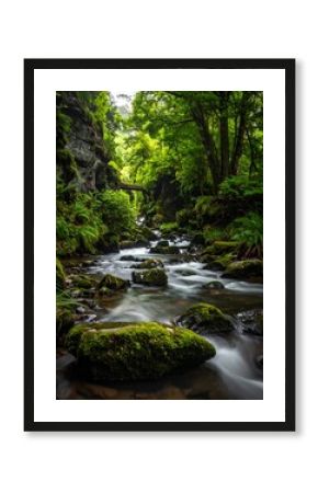 Lush forest creek flowing