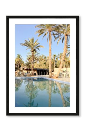 Visitors enjoy the tranquil atmosphere of an oasis in Tunisia with a beautiful swimming pool framed by palm trees under a sunny sky. Perfect for leisure and relaxation.