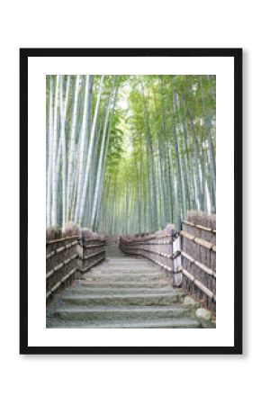 Vertical view of a empty road in the fabulous bamboo forest in Kyoto, Japan
