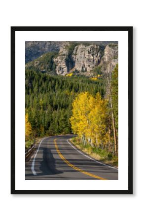 Scenic road with autumn scenery of yellow aspen trees and green pine forest on the hill at Rocky Mountain National Park. Beautiful fall foliage landscape in Colorado, USA.