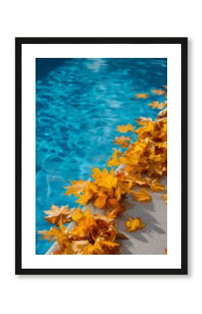 Autumn leaves float along the edge of a tranquil, reflective pool, capturing the serene beauty of a transitional season.