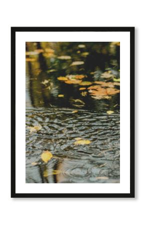 Calm forest river surrounded by autumn trees reflecting in the still water on a sunny day.