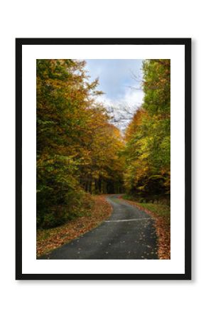 Mountain road in autumn with snowy mountain peak in background. Pyrenees mountains in southwest France