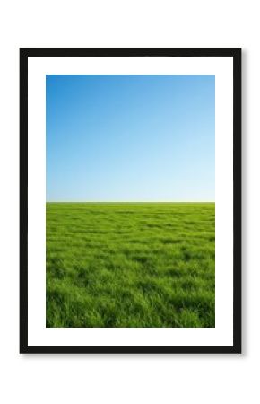 A tranquil scene featuring a vast, rolling green grass landscape stretching toward the distant horizon under a bright, sunny blue sky, wide, terrain, bright
