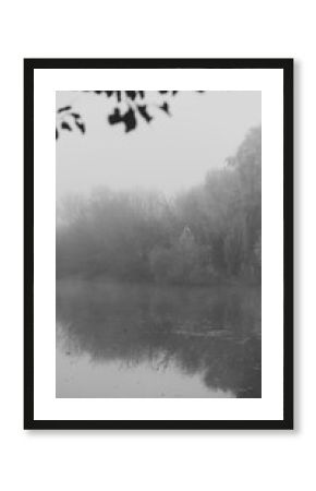Misty lake scene with reflections of trees and foliage in black and white