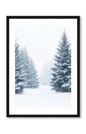 Mountain fir trees in the wind during a snowstorm