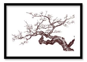 Cherry Tree