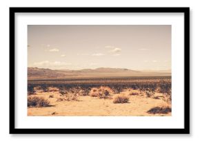 Southern California Desert