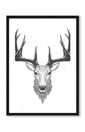 deer head on white