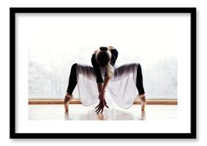 Ballet Dancer
