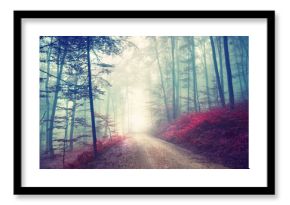 Vintage magic forest road