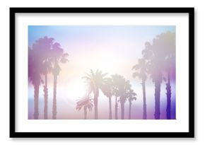 Letni krajobraz drzewa palmowego z efektem retro