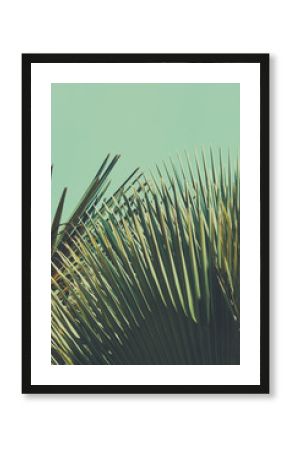 Abstrac tropical vintage background. Retro toned.
