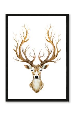 Watercolor hand drawn deer
