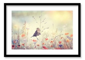 Field with wild flowers and a bird