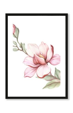 Image of blooming magnolia branch. Watercolor illustration