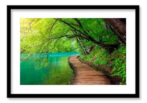 Crystal clear water and wooden path . Plitvice lakes, Croatia