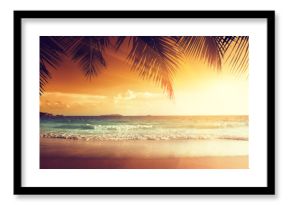 sunset on the beach of caribbean sea