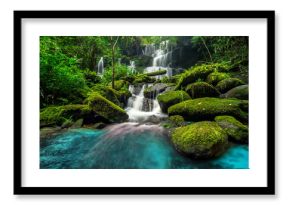 beautiful waterfall in green forest in jungle