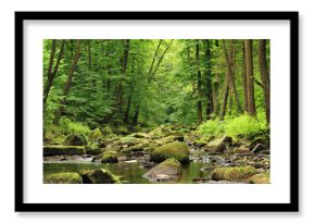 river in the spring forest