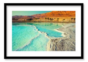 Dead sea salt shore