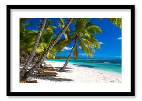 Tropical beach in caribbean sea, Saona island, Dominican Republic