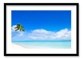 Beach Panorama with blue water and palm trees