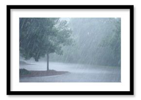 heavy rain and tree in the parking lot