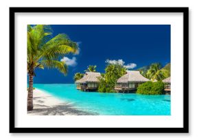 Holiday location on a tropical island with palm trees and amazing vibrant beach