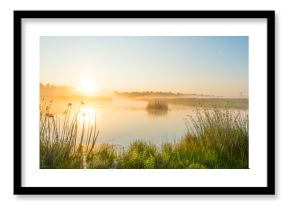 Shore of a misty lake at sunrise in summer