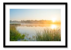 Shore of a misty lake at sunrise in summer