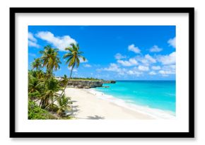 Bottom Bay, Barbados - Paradise beach on the Caribbean island of Barbados. Tropical coast with palms hanging over turquoise sea. Panoramic photo of beautiful landscape.