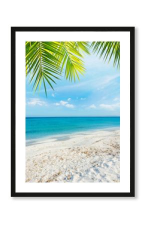 Palm tree over a tropical beach