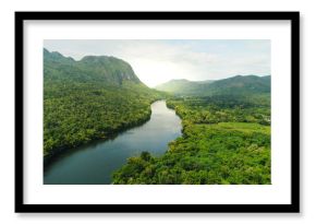 Aerial view of river in tropical green forest with mountains in background