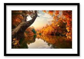 Orange autumn on river
