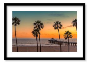 Palm trees at Manhattan Beach. Vintage processed.