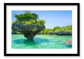 stone rock with trees in lagoon in Zanzibar