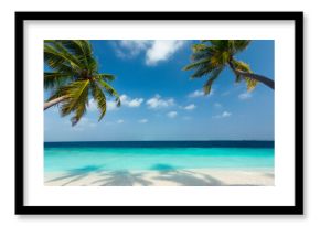 Tropical beach and palm trees, The Maldives, Indian Ocean