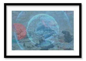 Standing gull scavenging at beach, with bottles, wrappers, digital globe overlay with red circle